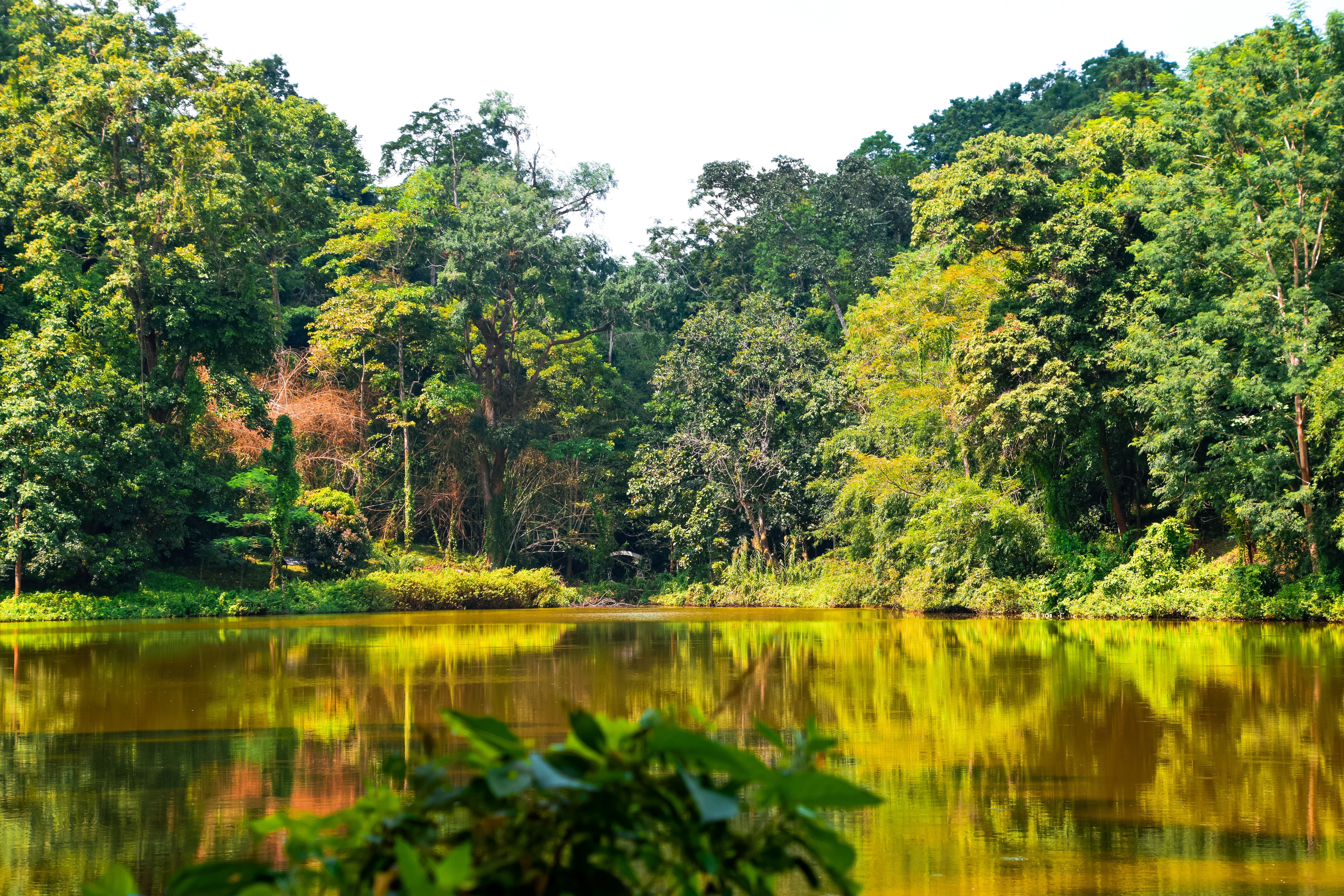 majuli-wild-rich